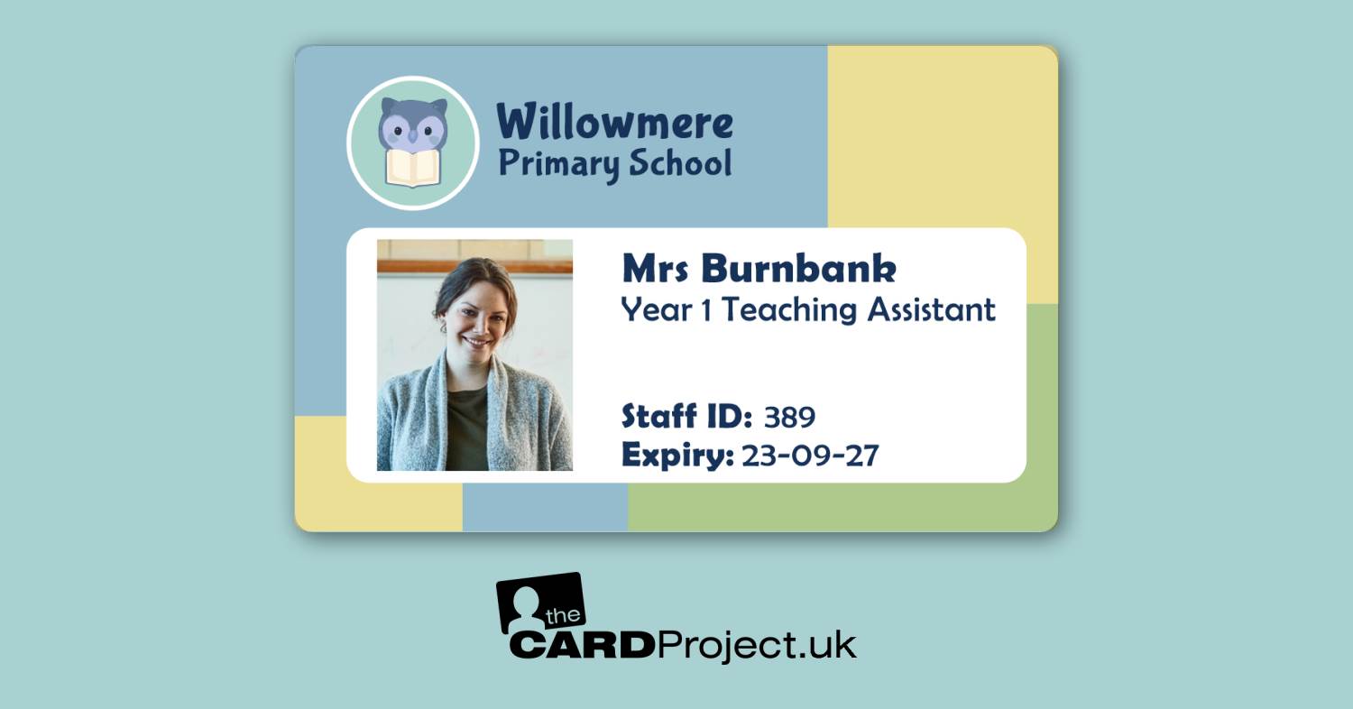 Primary School ID Owl Color Blocks